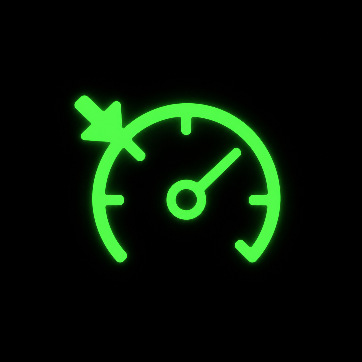 Cruise Control Indicator