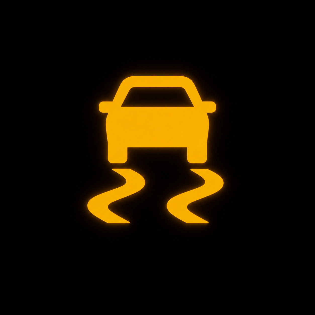 Traction Control Light